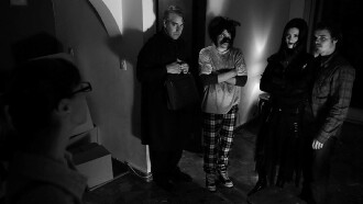 The Night of the Chihuaua Trailer