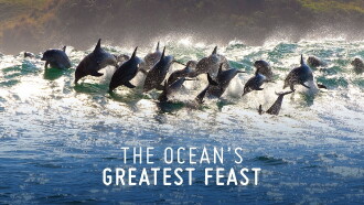 The Ocean’s Greatest Feast Trailer