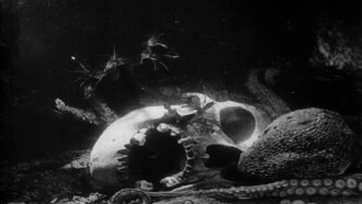 The Octopus Trailer