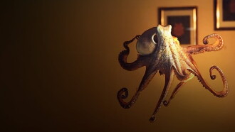 The Octopus in My House Trailer
