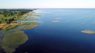 The Oder-Delta - A Wilderness without Borders Trailer