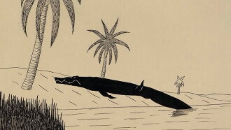 The Old Crocodile Trailer