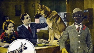 The Outlaw Dog Trailer
