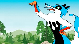 The Painted Fox Trailer