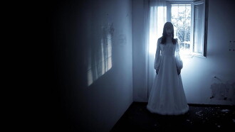 The Pantry Ghost Documentary Trailer