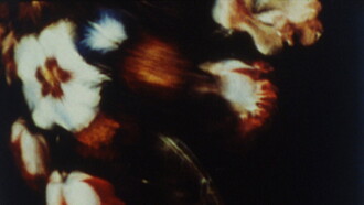 The Parable of the Tulip Painter and the Fly Trailer