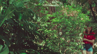 The Parrot Trailer
