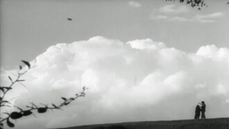 The Passerine Bird Trailer