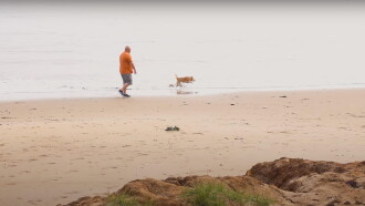 The Pebble Trailer