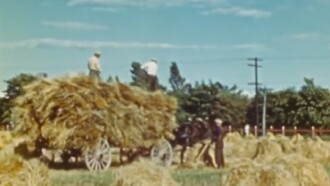 The Percheron Trailer