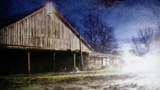 The Pig Farm Trailer