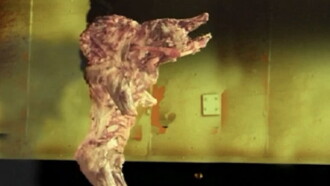 The Pig Walks Trailer