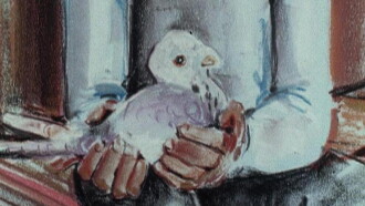 The Pigeon Cree Trailer