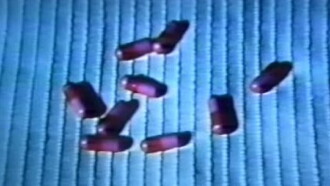 The Pill Poppers Trailer