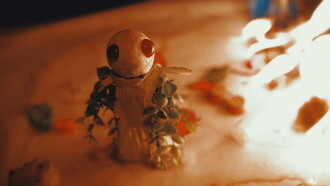 The Plant Boy Trailer