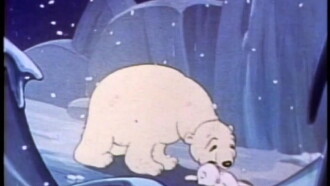 The Playful Polar Bears Trailer