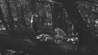 The Poet Trailer