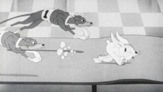 The Pooch Parade Trailer