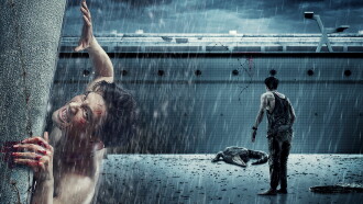 The Pool Trailer