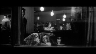 The Pornographers Trailer