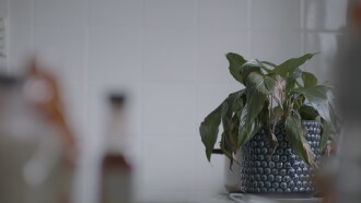 The Pot Plant Trailer