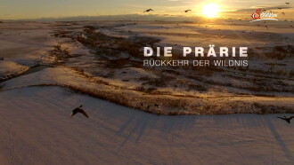 The Prairie; Return of the Wild Trailer