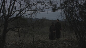 The Pregnant Tree and the Goblin Trailer