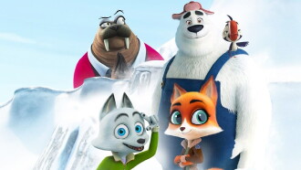 The Puffins: In Search of the Arctic Idol Trailer
