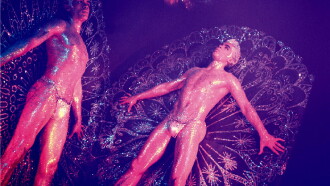 The Queer Reveries of James Bidgood Trailer