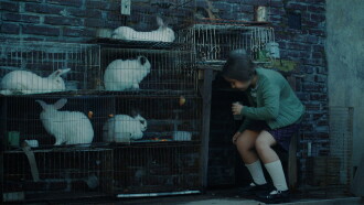 The Rabbits' House Trailer