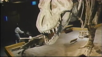 The Real Jurassic Park Trailer