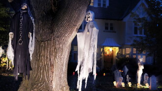 The Real Story of Halloween Trailer