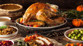 The Real Story of Thanksgiving Trailer