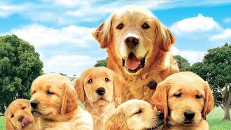 The Retrievers Trailer