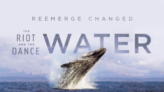 The Riot and the Dance: Water Trailer