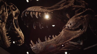 The Rise & Fall Of T-Rex Trailer