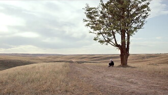 The Road to Mother Trailer