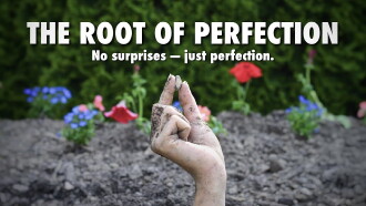 The Root of Perfection Trailer