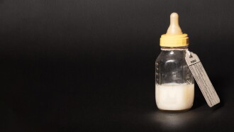 The Salt Babies Trailer
