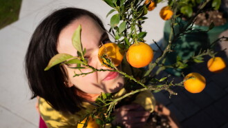 The Scent of Tangerine Trailer