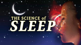 The Science of Sleep Trailer