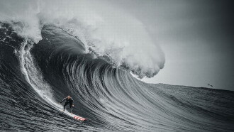 The Secret Life of Waves Trailer