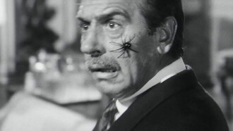 The Secret of the Black Widow Trailer