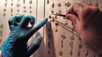 The Secrets of the Dead Sea Scrolls Trailer