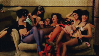 The Seven Kittens Trailer