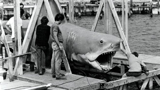 The Shark Is Still Working Trailer