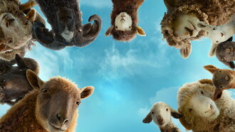 The Sheep Detectives Trailer