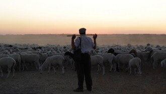 The Shepherd Trailer