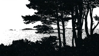 The Shoreline Trailer