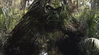 The Skunk Ape Lives Trailer